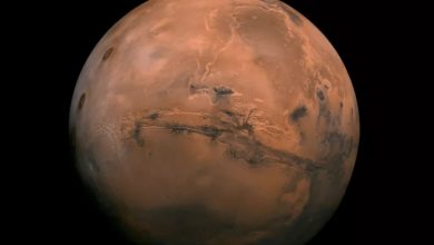 Фото - Учёные обнаружили на Марсе подземное озеро — пока только теоретически, но с крайне высокой вероятностью