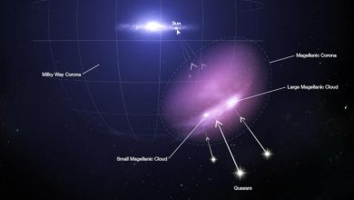 Фото - Соседние карликовые галактики укрылись от Млечного Пути в коконе горячего газа, выяснили учёные